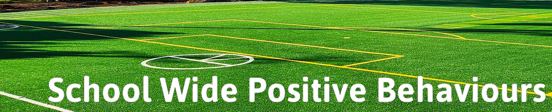 Wellbeing: School Wide Positive Behaviours